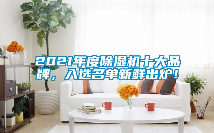 2021年度除濕機(jī)十大品牌，入選名單新鮮出爐！