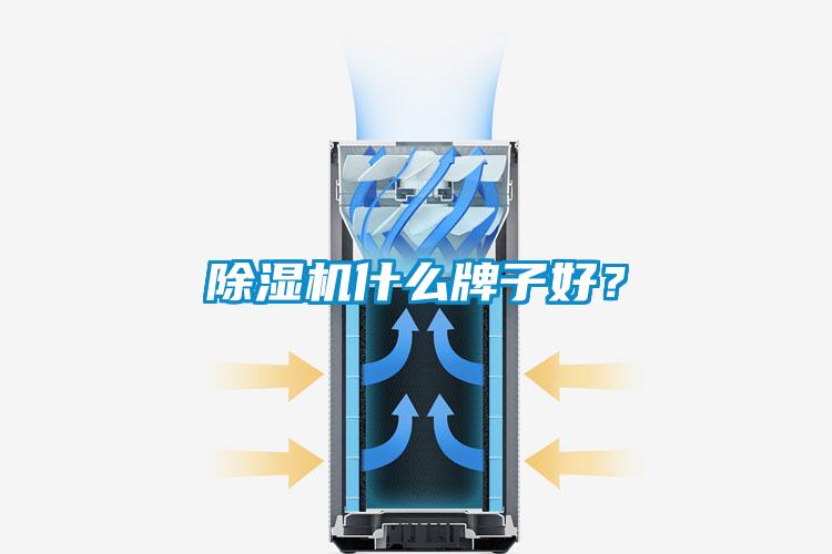 除濕機(jī)什么牌子好？