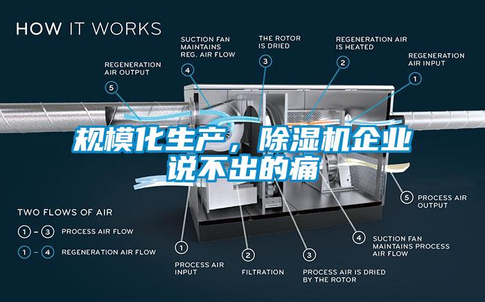 規(guī)?；a(chǎn)，除濕機企業(yè)說不出的痛