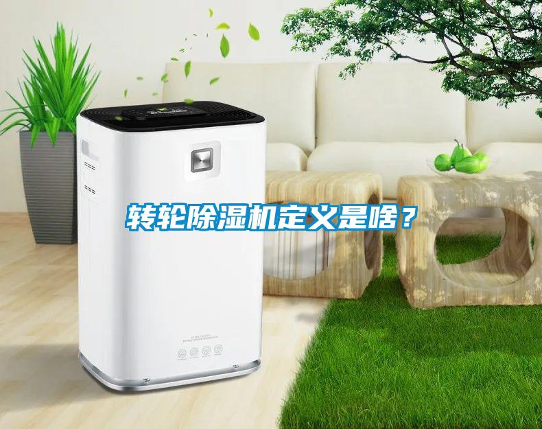 轉(zhuǎn)輪除濕機(jī)定義是啥？