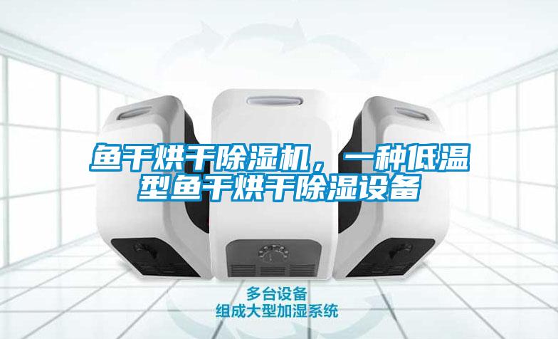 魚干烘干除濕機(jī)，一種低溫型魚干烘干除濕設(shè)備