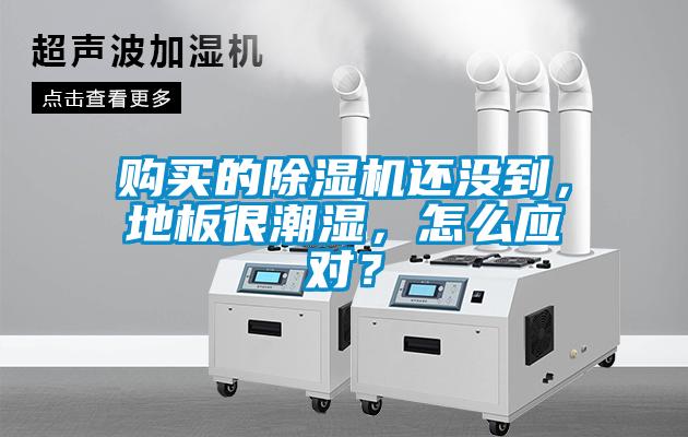 購買的除濕機(jī)還沒到，地板很潮濕，怎么應(yīng)對？