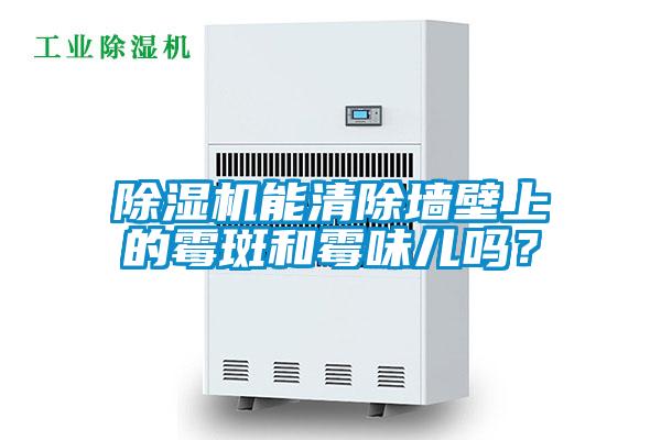 除濕機能清除墻壁上的霉斑和霉味兒嗎？