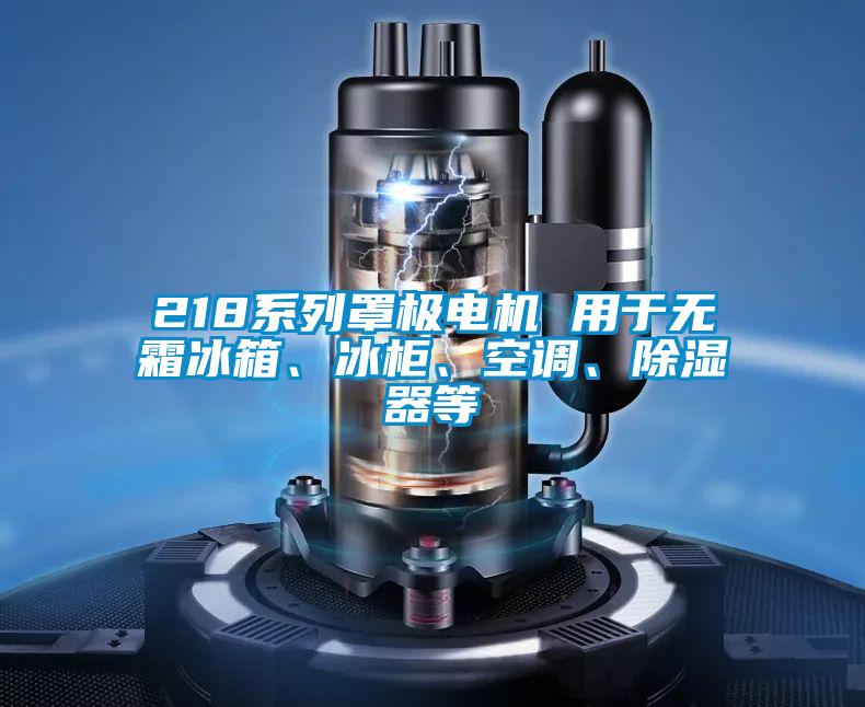 218系列罩極電機(jī) 用于無霜冰箱、冰柜、空調(diào)、除濕器等