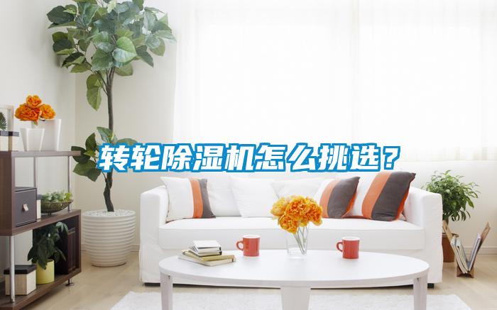 轉(zhuǎn)輪除濕機怎么挑選？