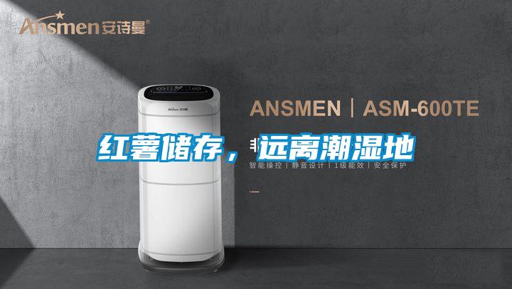 紅薯儲存，遠離潮濕地
