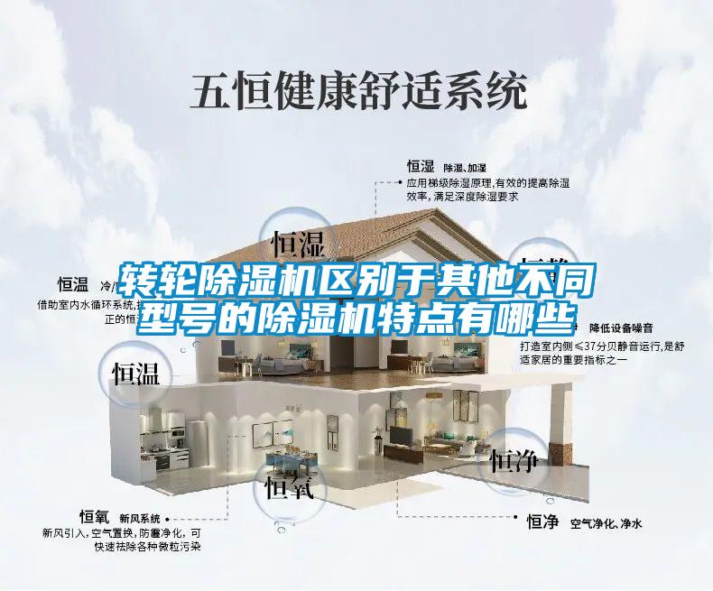 轉(zhuǎn)輪除濕機區(qū)別于其他不同型號的除濕機特點有哪些