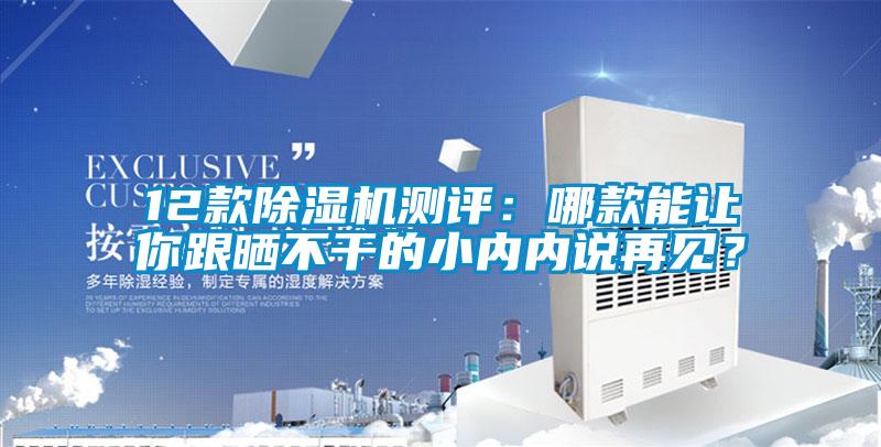 12款除濕機(jī)測(cè)評(píng)：哪款能讓你跟曬不干的小內(nèi)內(nèi)說再見？