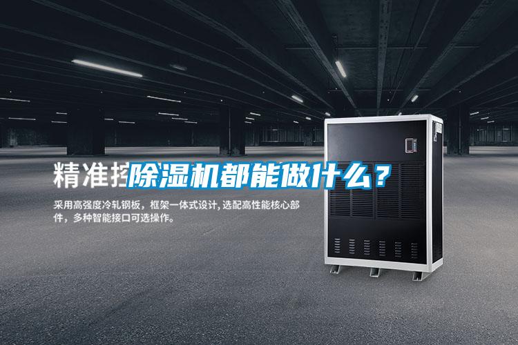 除濕機(jī)都能做什么？