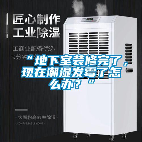 “地下室裝修完了，現(xiàn)在潮濕發(fā)霉了怎么辦？”
