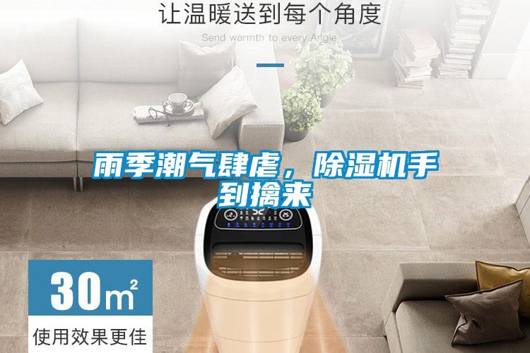 雨季潮氣肆虐，除濕機手到擒來