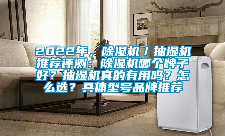 2022年，除濕機(jī)／抽濕機(jī)推薦評測：除濕機(jī)哪個(gè)牌子好？抽濕機(jī)真的有用嗎？怎么選？具體型號品牌推薦