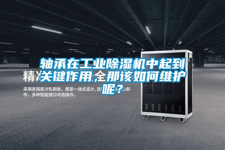 軸承在工業(yè)除濕機(jī)中起到關(guān)鍵作用，那該如何維護(hù)呢？