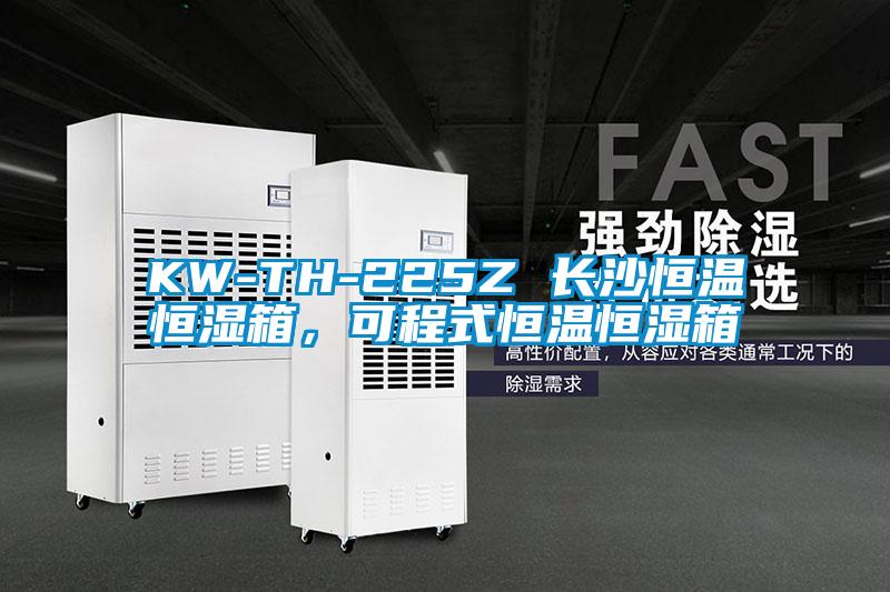 KW-TH-225Z 長沙恒溫恒濕箱，可程式恒溫恒濕箱