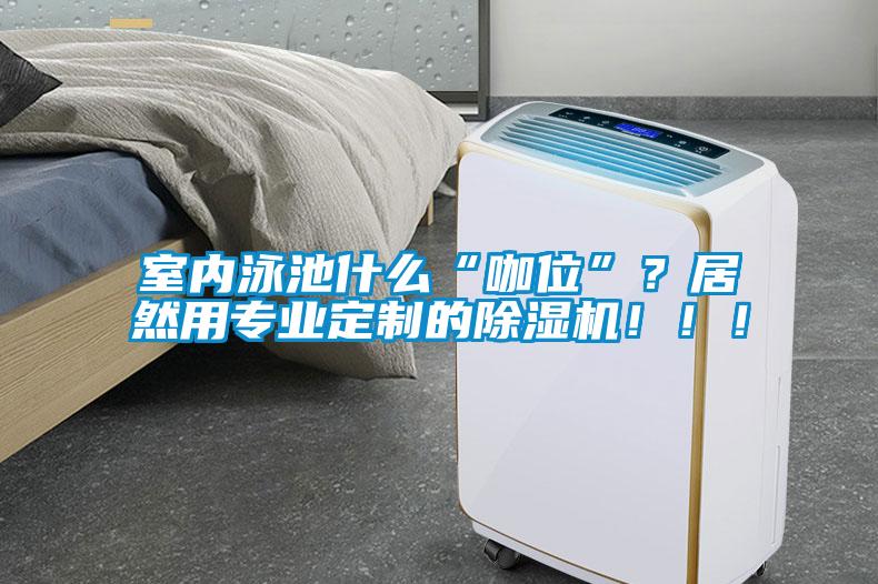 室內(nèi)泳池什么“咖位”？居然用專業(yè)定制的除濕機(jī)！??！