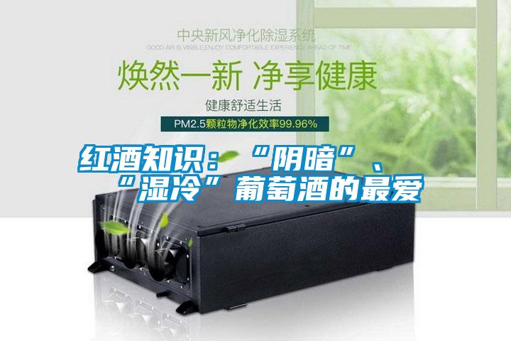 紅酒知識：“陰暗”、“濕冷”葡萄酒的最愛