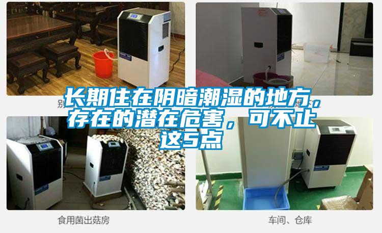 長(zhǎng)期住在陰暗潮濕的地方，存在的潛在危害，可不止這5點(diǎn)