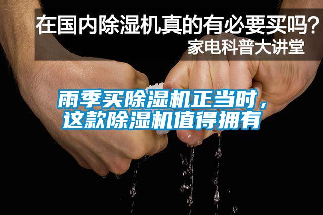 雨季買除濕機(jī)正當(dāng)時(shí)，這款除濕機(jī)值得擁有