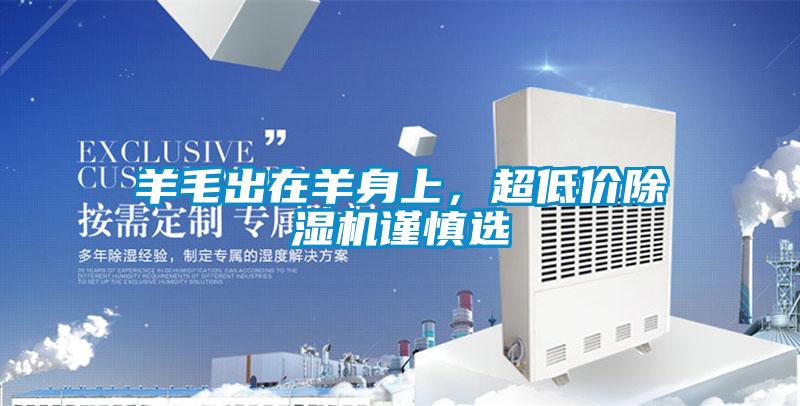 羊毛出在羊身上，超低價除濕機謹慎選