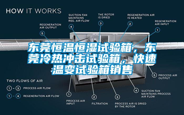 東莞恒溫恒濕試驗(yàn)箱，東莞冷熱沖擊試驗(yàn)箱，快速溫變試驗(yàn)箱銷售