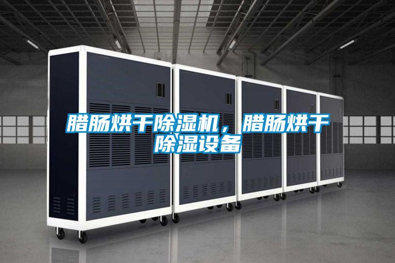 臘腸烘干除濕機(jī)，臘腸烘干除濕設(shè)備