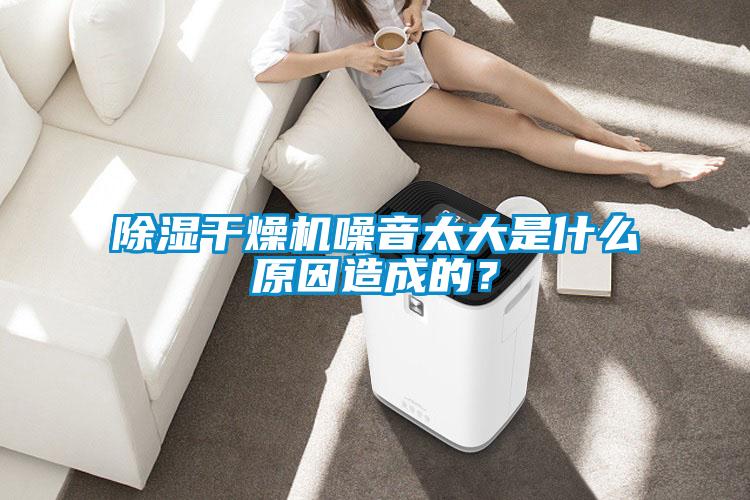 除濕干燥機(jī)噪音太大是什么原因造成的？