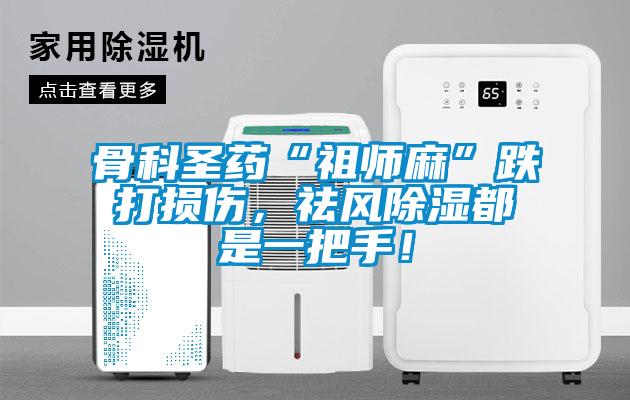 骨科圣藥“祖師麻”跌打損傷，祛風(fēng)除濕都是一把手！