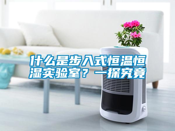 什么是步入式恒溫恒濕實驗室？一探究竟