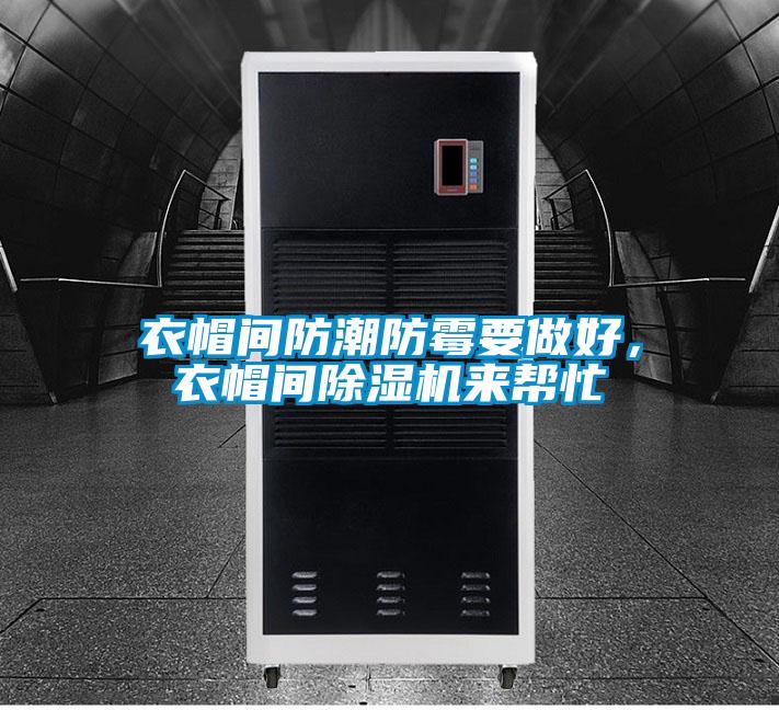 衣帽間防潮防霉要做好，衣帽間除濕機來幫忙