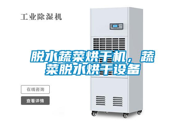 脫水蔬菜烘干機，蔬菜脫水烘干設(shè)備