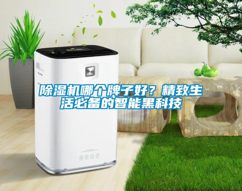 除濕機哪個牌子好？精致生活必備的智能黑科技