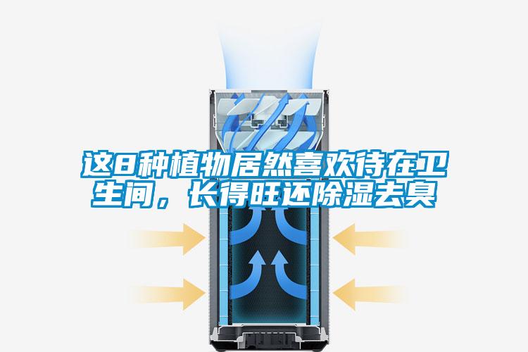 這8種植物居然喜歡待在衛(wèi)生間，長得旺還除濕去臭