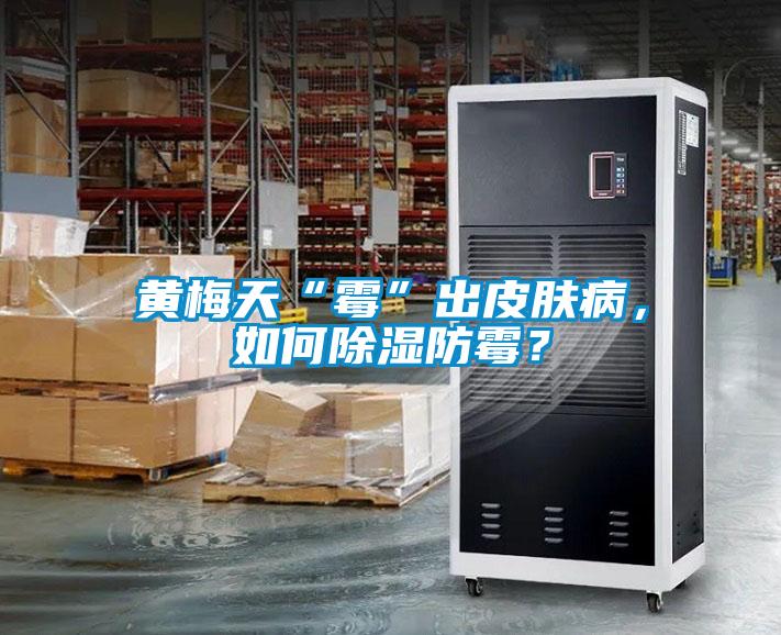 黃梅天“霉”出皮膚病，如何除濕防霉？