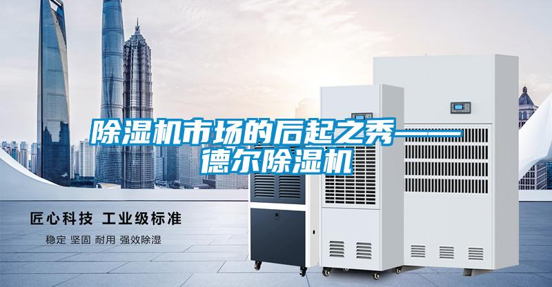 除濕機(jī)市場的后起之秀——德爾除濕機(jī)