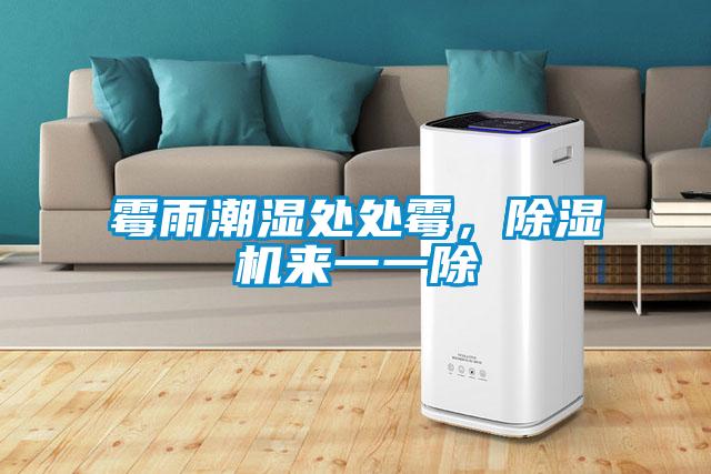 霉雨潮濕處處霉，除濕機(jī)來(lái)一一除