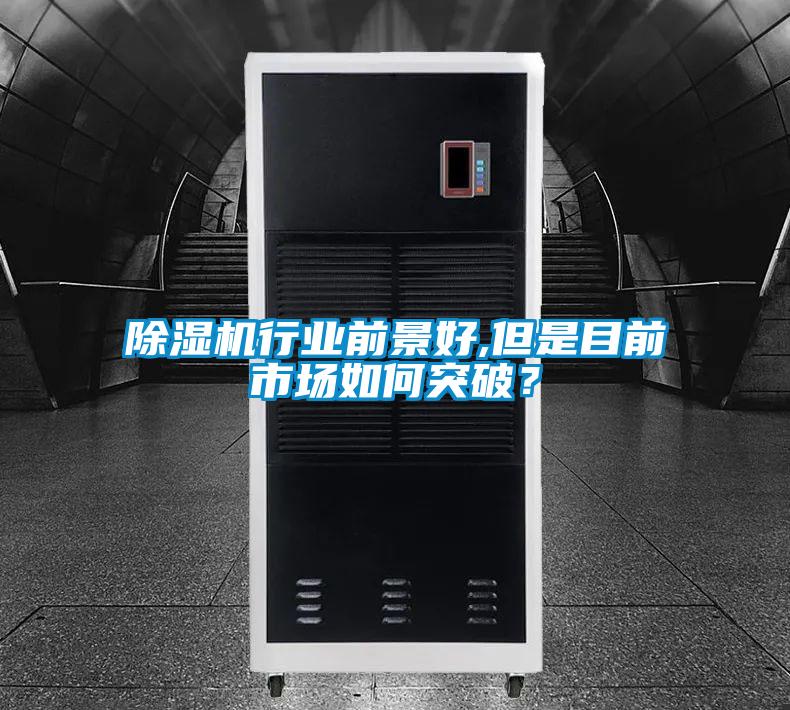 除濕機(jī)行業(yè)前景好,但是目前市場如何突破？