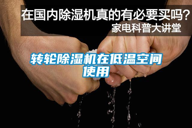 轉(zhuǎn)輪除濕機在低溫空間使用