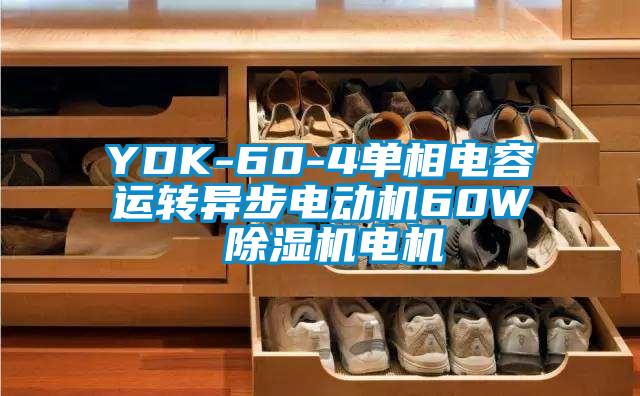 YDK-60-4單相電容運轉(zhuǎn)異步電動機60W 除濕機電機
