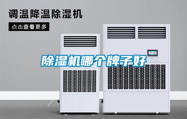 除濕機(jī)哪個(gè)牌子好