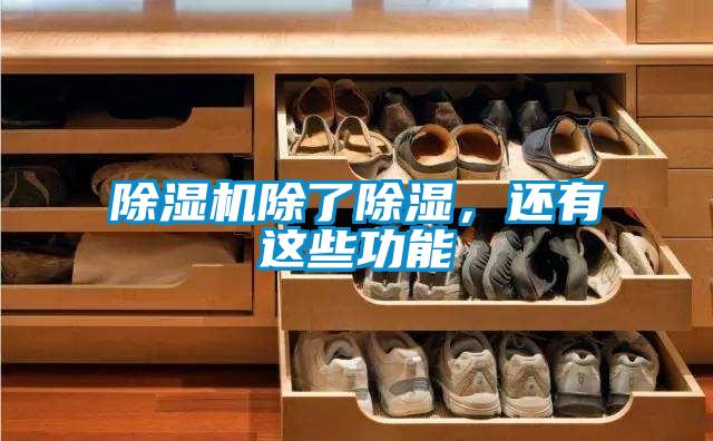 除濕機(jī)除了除濕，還有這些功能