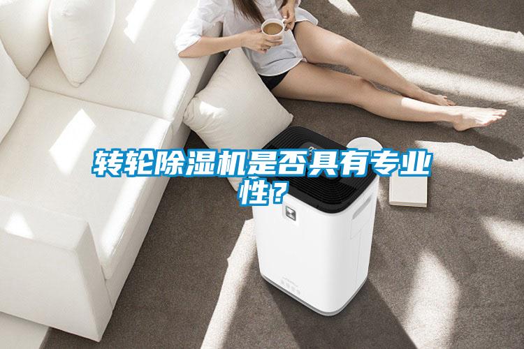 轉(zhuǎn)輪除濕機是否具有專業(yè)性？