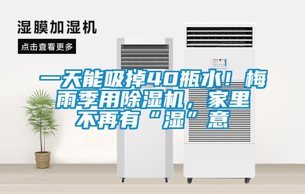 一天能吸掉40瓶水！梅雨季用除濕機(jī)，家里不再有“濕”意