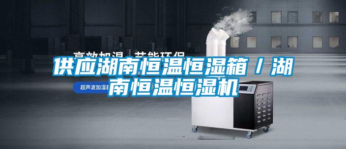 供應(yīng)湖南恒溫恒濕箱／湖南恒溫恒濕機