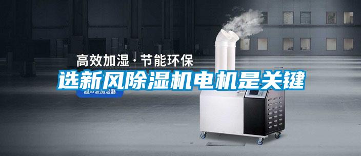 選新風(fēng)除濕機電機是關(guān)鍵