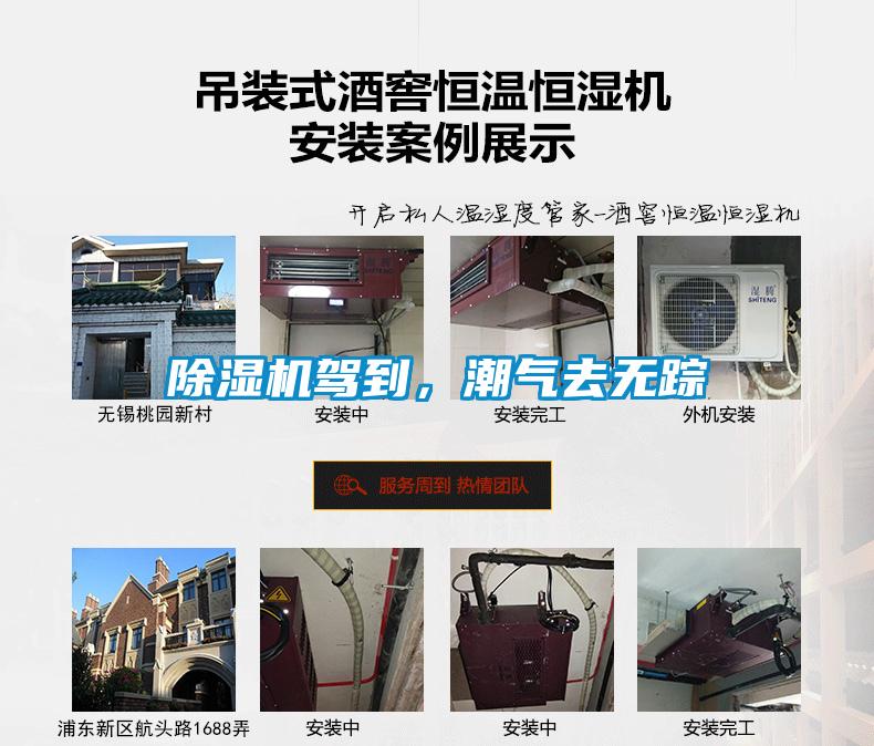 除濕機(jī)駕到，潮氣去無蹤