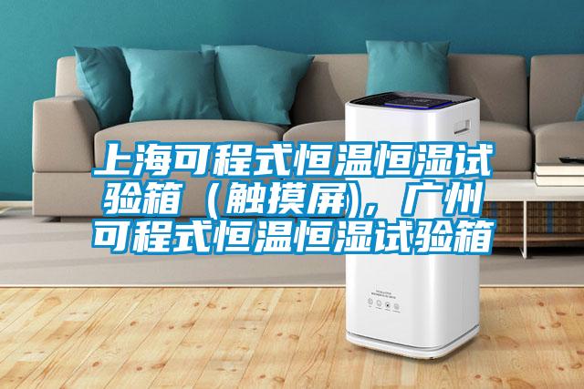 上?？沙淌胶銣睾銤裨囼?yàn)箱（觸摸屏)，廣州可程式恒溫恒濕試驗(yàn)箱