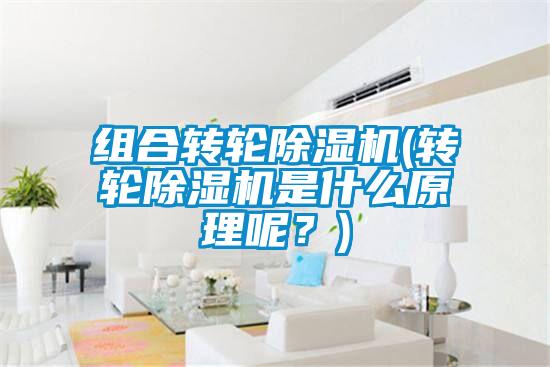 組合轉(zhuǎn)輪除濕機(轉(zhuǎn)輪除濕機是什么原理呢？)