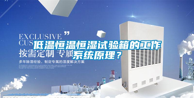 低溫恒溫恒濕試驗箱的工作系統(tǒng)原理？