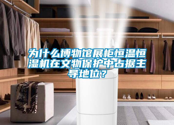 為什么博物館展柜恒溫恒濕機(jī)在文物保護(hù)中占據(jù)主導(dǎo)地位？