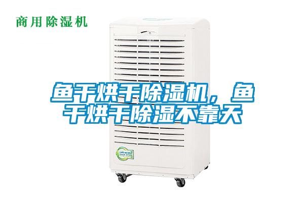 魚干烘干除濕機，魚干烘干除濕不靠天